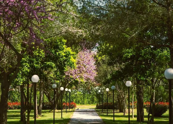 Green Park Divjake
